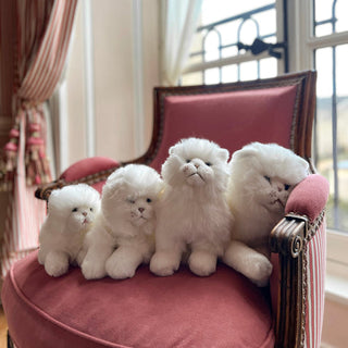 Peluches pour adultes, peluche chat, cadeau pour adulte