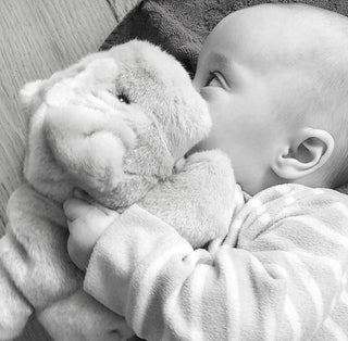 doudou bebe doudou chien peluche bebe