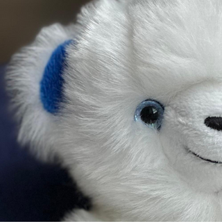 Zoom oreille ourson, marque française, La Pelucherie