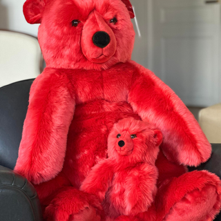 Photo de famille, ours Jules rouge, La Pelucherie