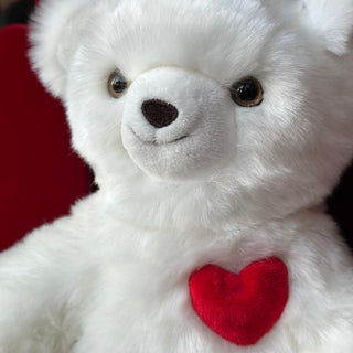 Ma peluche ours Émile amoureux