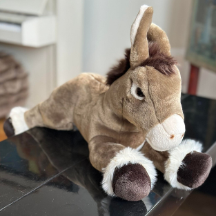 Peluche qualitative, Ane Gaston, La Pelucherie