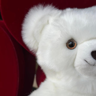 Ma peluche ours Émile amoureux