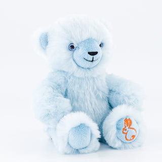 Ma peluche Ours Émile