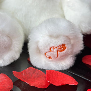 Ma peluche ours Émile amoureux