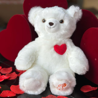 Ma peluche ours Émile amoureux