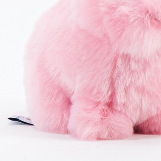Douceur d'une peluche pour enfant et bébé, La Pelucherie