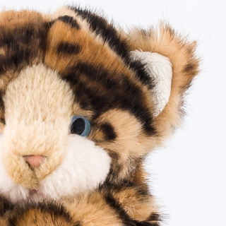 Zoom oeil et oreille de chat en peluche tigré, La Pelucherie