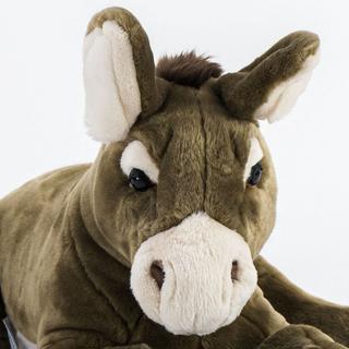 Détails tete Ane Gaston, La Pelucherie, maison française de peluche