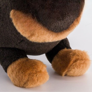Zoom sur les pattes marrons d'un chien, luxe, magasin peluche, La Pelucherie