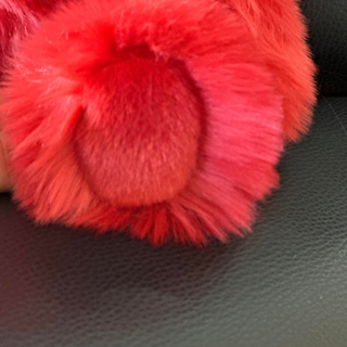 Détails des pattes peluche ours réaliste, La Pelucherie