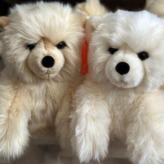 Ma peluche Ours Jules