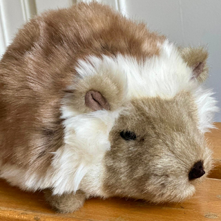 Hérisson en peluche tout doux, vue de près, lavable en machine, conçu en France, La Pelucherie