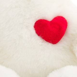 Ma peluche ours Émile amoureux