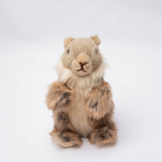 Marmotte en peluche marron, vue de face, portrait, haut de gamme, fabriqué en Italie, La Pelucherie