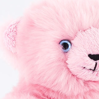 Ma peluche Ours Émile