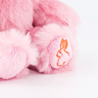 Ma peluche Ours Émile