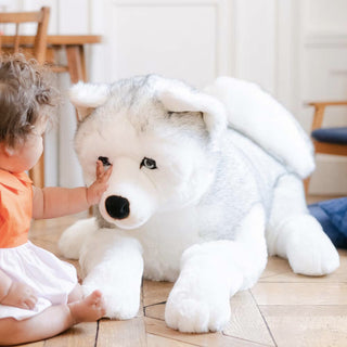 Enfant caressant un chien Husky géant de la pelucherie 