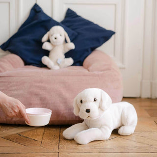 Lifestyle, mignonne peluche de labrador, jouet en peluche, luxe, magasin peluche, La Pelucherie