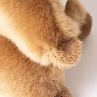 Ma peluche Écureuil Léo