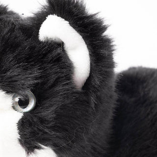 Regard peluche chat Gustave, La Pelucherie