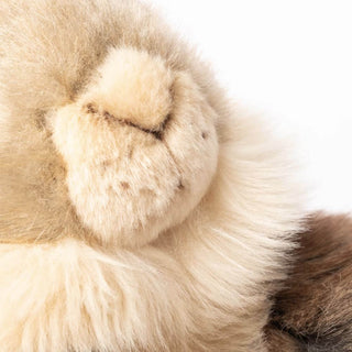 Détail du museau, petite peluche marmotte toute douce, luxe, magasin peluche, La Pelucherie