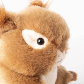 Ma peluche Écureuil Léo