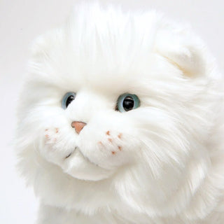 Ma peluche Chat Oscar