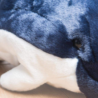 Détail d'un œil de peluche dauphin, haut de gamme, fabriqué en Italie, La Pelucherie