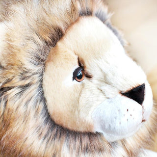 Détail d'une tête de peluche lion, haut de gamme, fabriqué en Italie, La Pelucherie