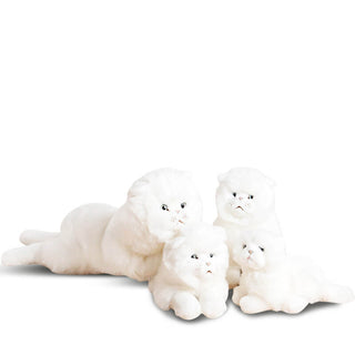 Photo de famille chat Oscar, La Pelucherie