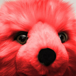 Détails peluche Ours réaliste couleur rouge, La Pelucherie