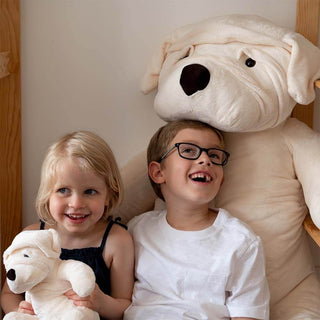 Peluche chien Albert, La Pelucherie