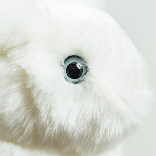 Peluche vue de coté, La Pelucherie