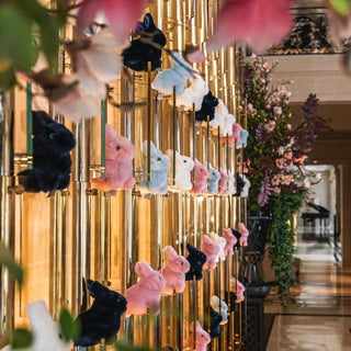 La Pelucherie, photo La Pelucherie marque française