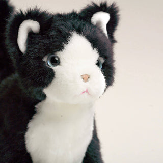 Vue de face chat Gustave, La Pelucherie