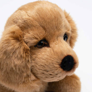 Détail d'une tête de peluche cocker marron, vue de près, luxe, magasin peluche, La Pelucherie