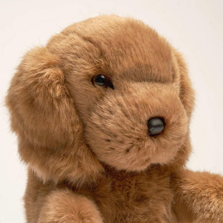 Tête de chien cocker marron, zoom, cousu main, conçu en France, La Pelucherie