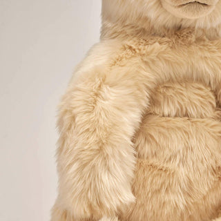 Ma peluche Ours Jules