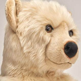 Ma peluche Ours Jules