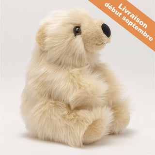 Ma peluche Ours Jules