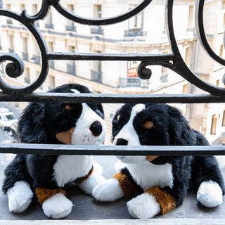 Photo de famille chien Ferdinand, peluche réaliste sur un balcon, La Pelucherie