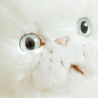 Détails visage chat Oscar, peluche La Pelucherie
