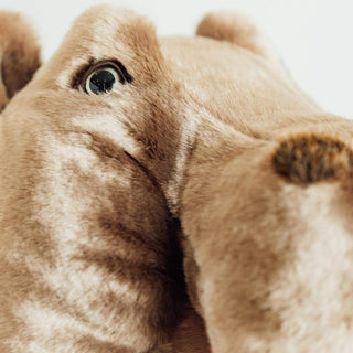 Détail d'une tête de peluche hippopotame, haut de gamme, fabriqué en Italie, La Pelucherie