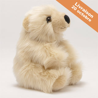 Ma peluche Ours Jules