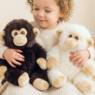 Monkey Marcel