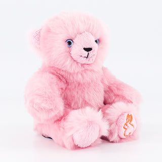 My Emile Bear cuddly toy