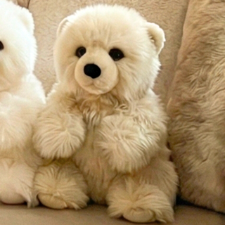 Ma peluche Ours Jules