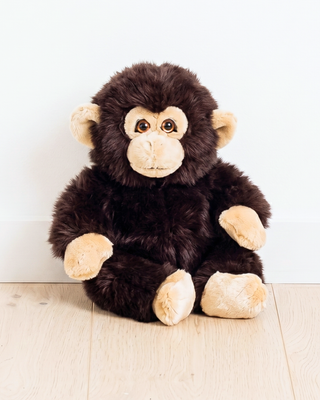 Monkey Marcel