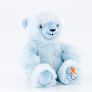 My Emile Bear cuddly toy